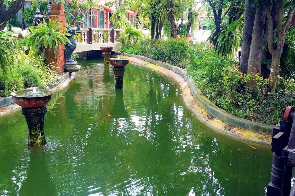 المظهر الخارجي