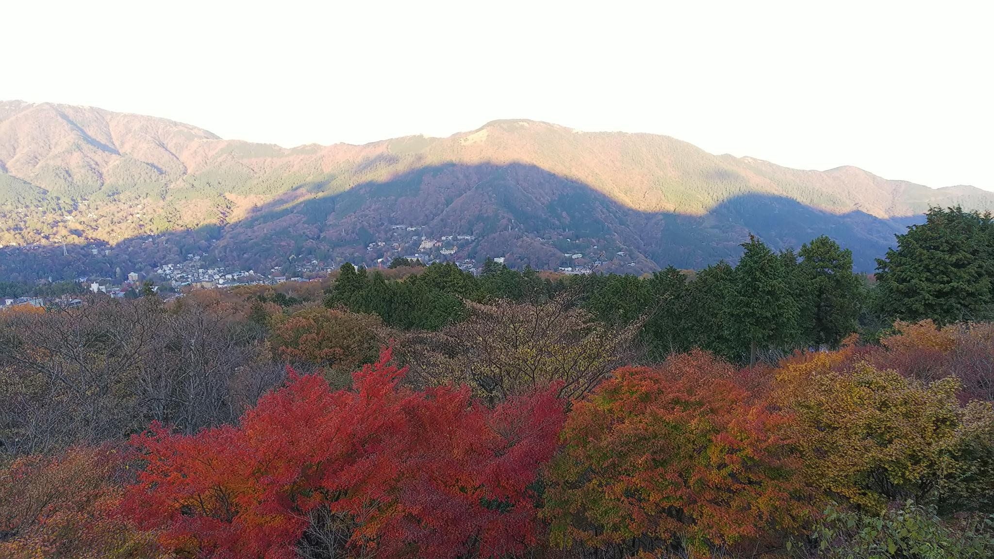 المظهر الخارجي