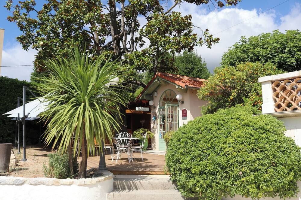 المظهر الخارجي