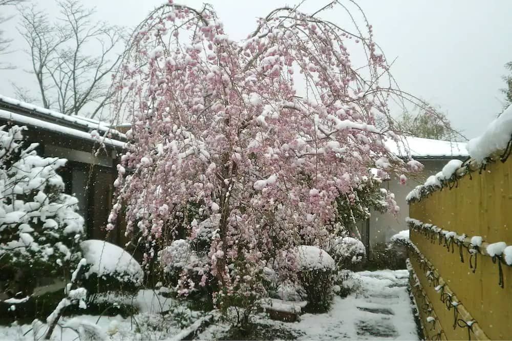 المظهر الخارجي