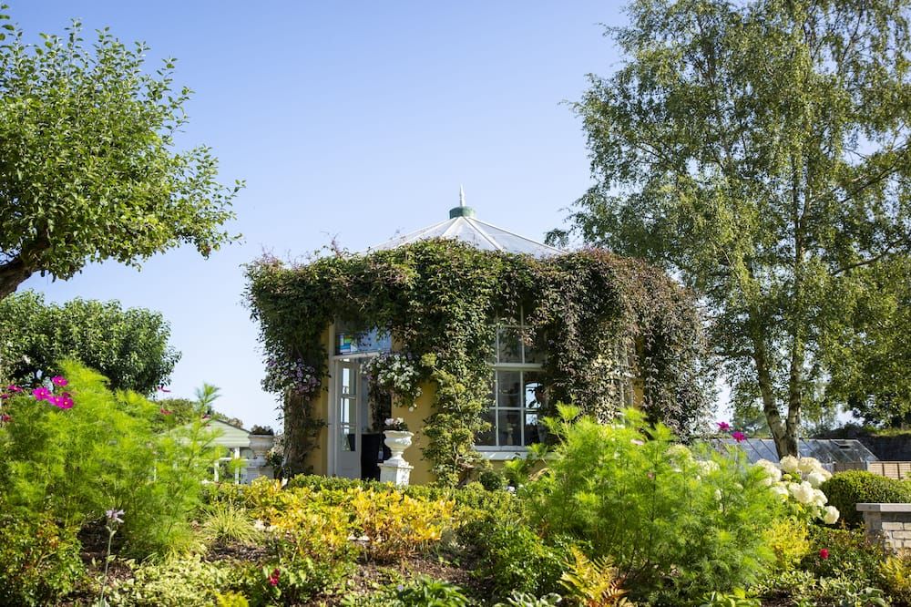 المظهر الخارجي