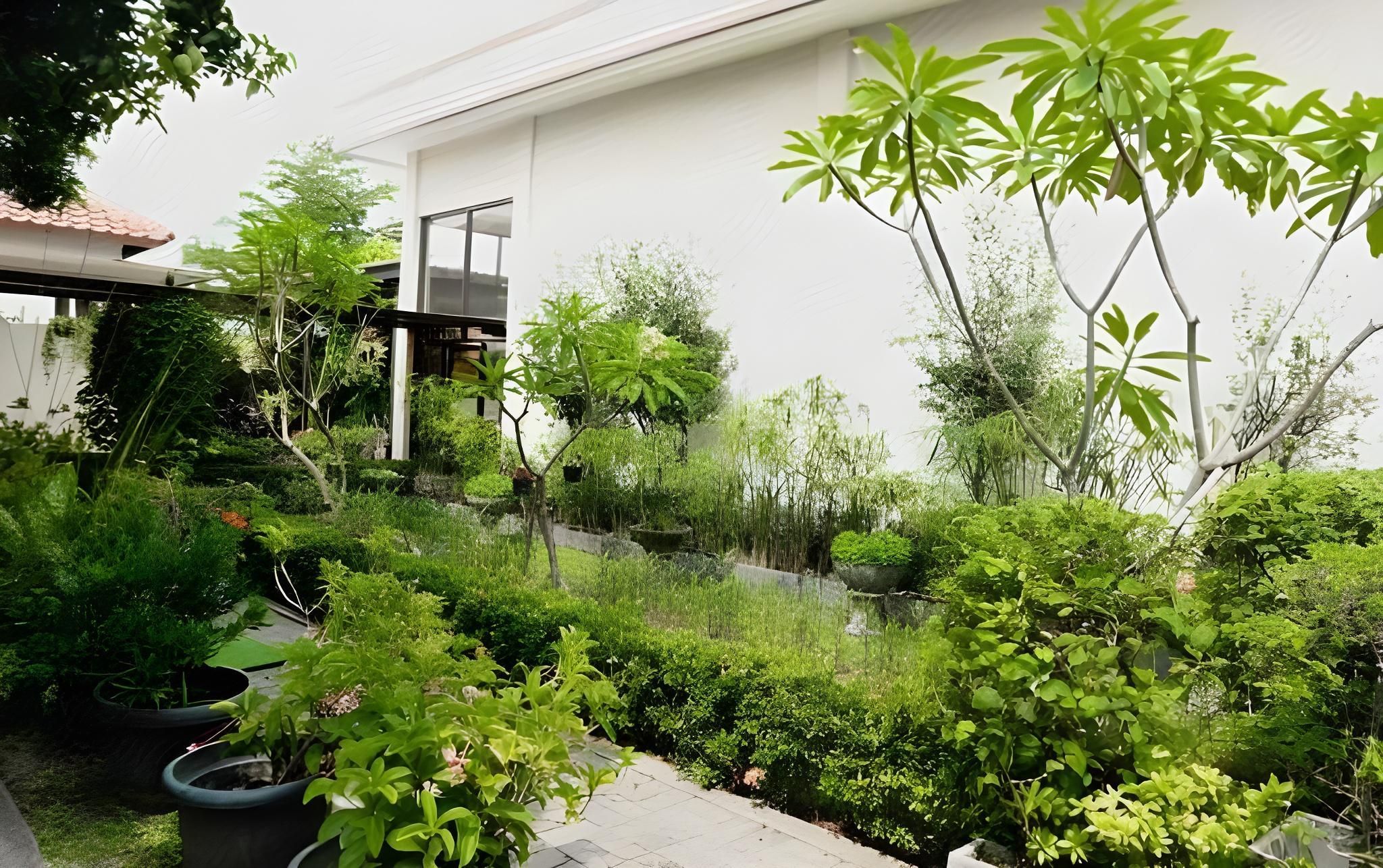 المظهر الخارجي