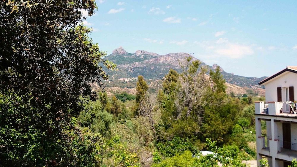 المظهر الخارجي