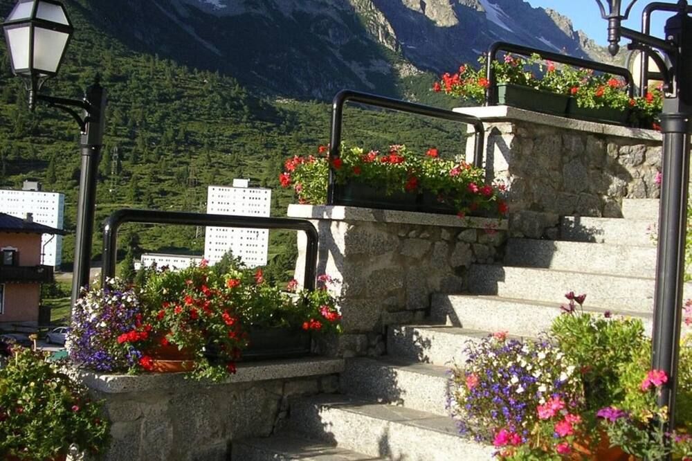 المظهر الخارجي