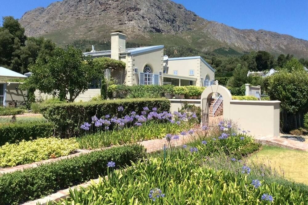 المظهر الخارجي