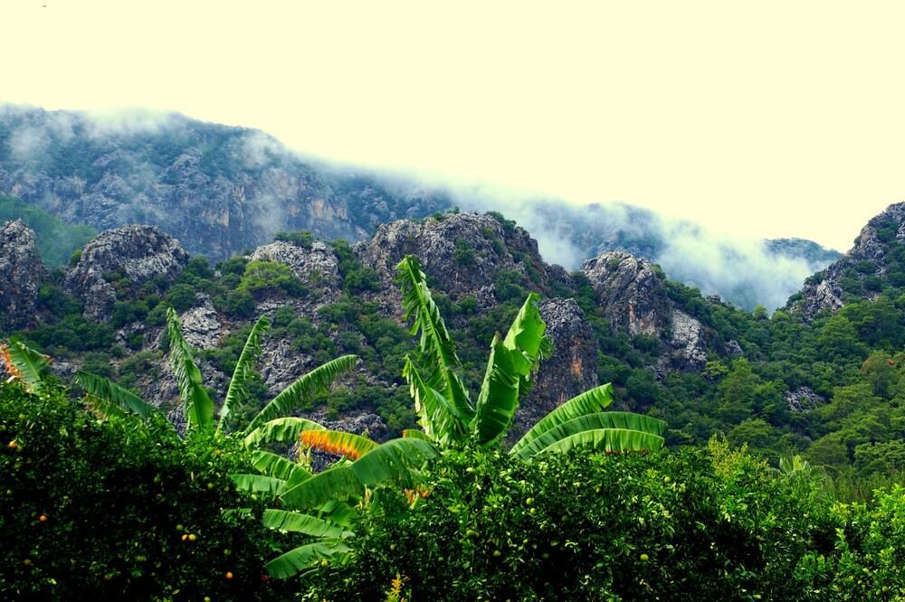 المظهر الخارجي