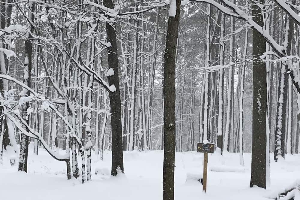 المظهر الخارجي
