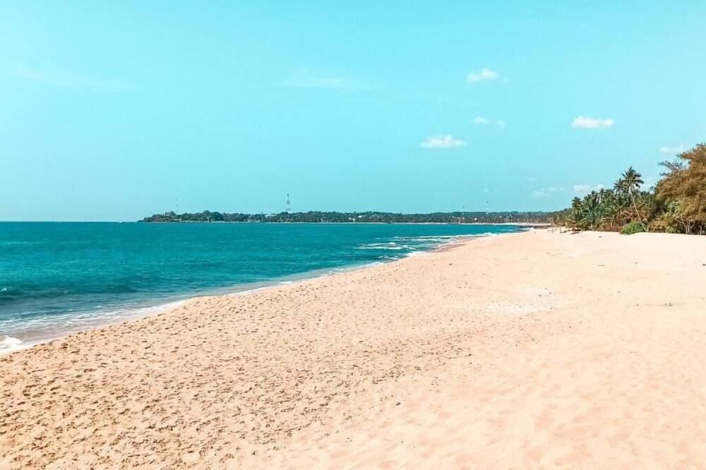 شاطئ