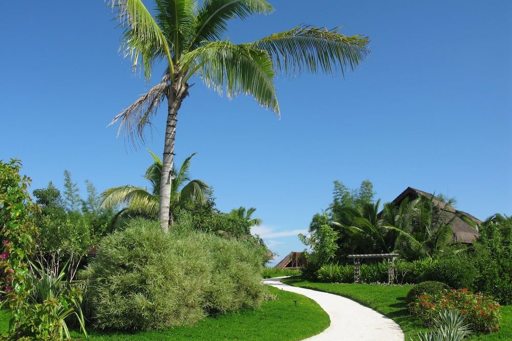 المظهر الخارجي