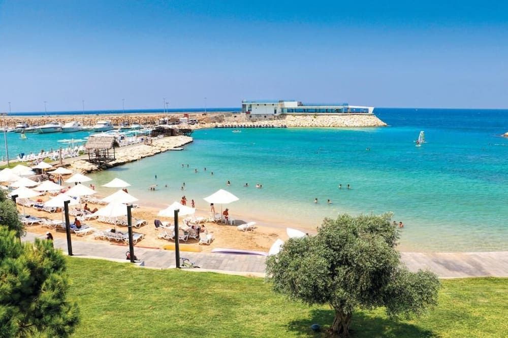 شاطئ صورة