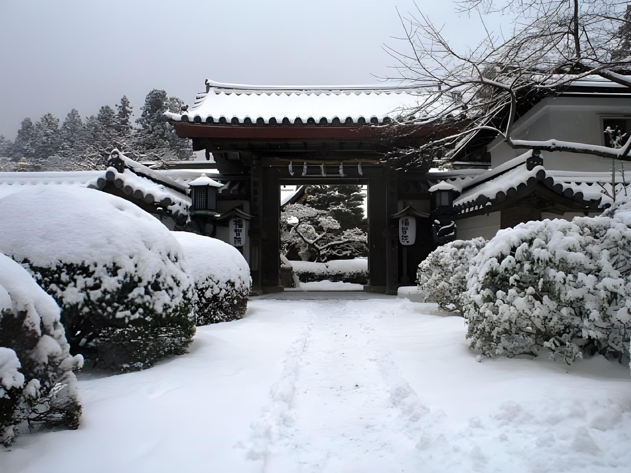 المظهر الخارجي