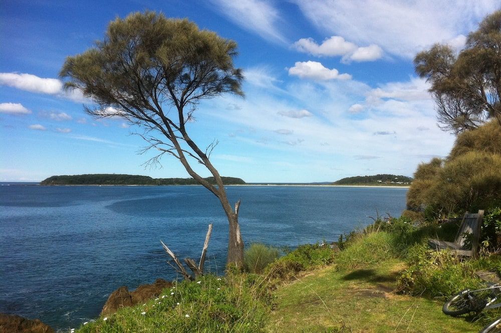 المظهر الخارجي
