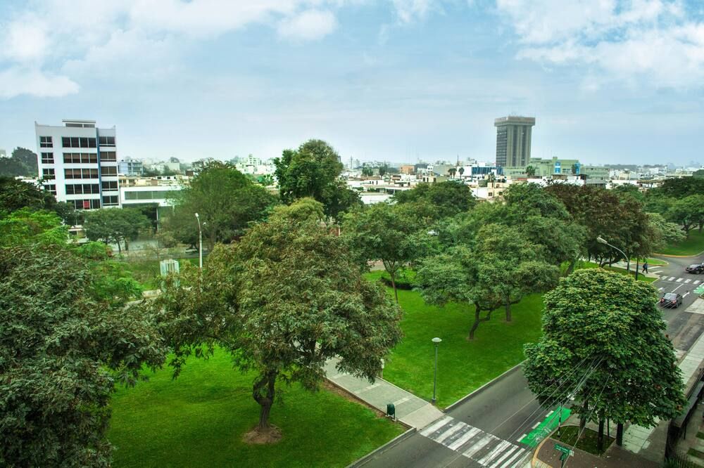 المظهر الخارجي