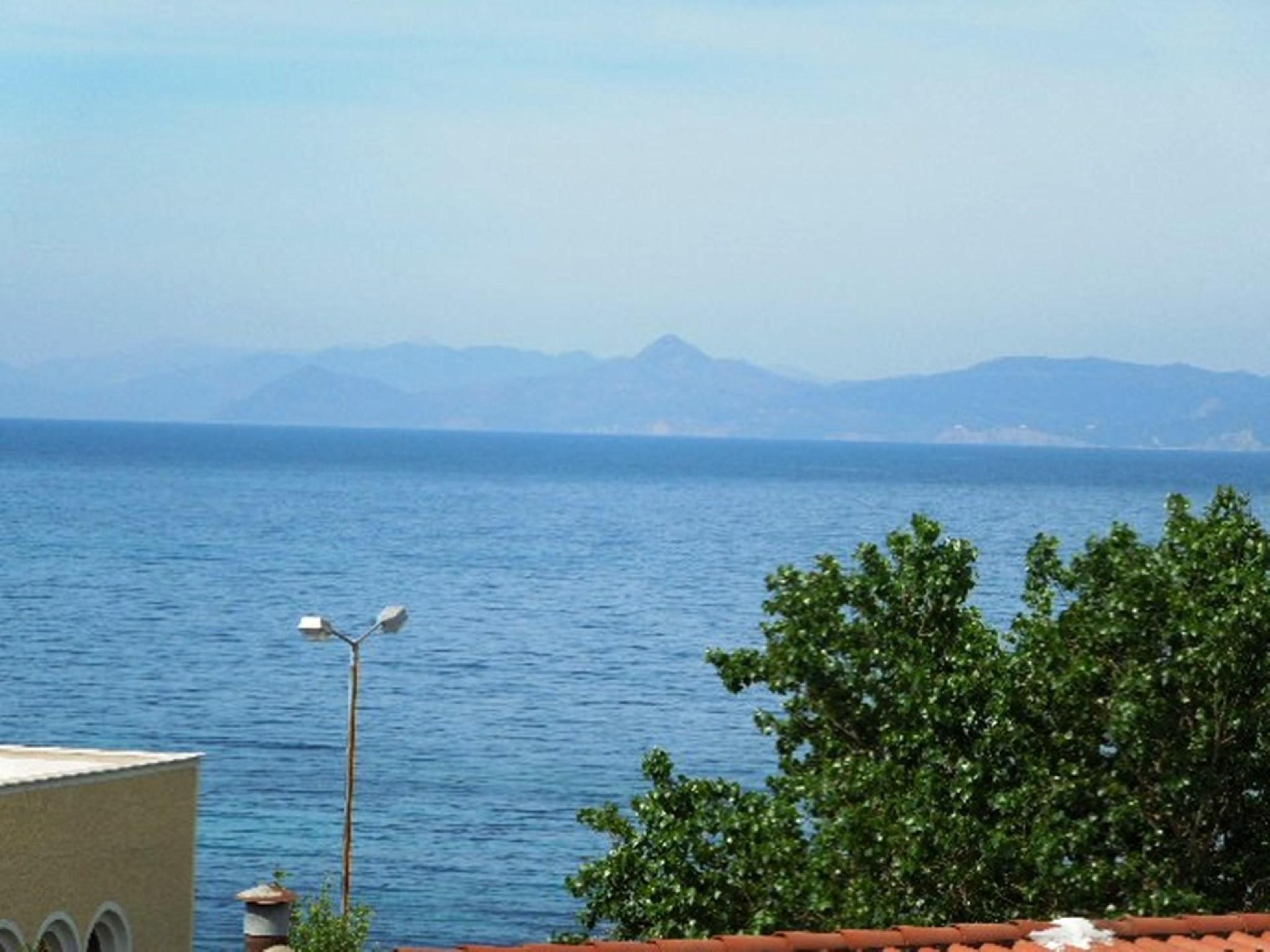 المظهر الخارجي