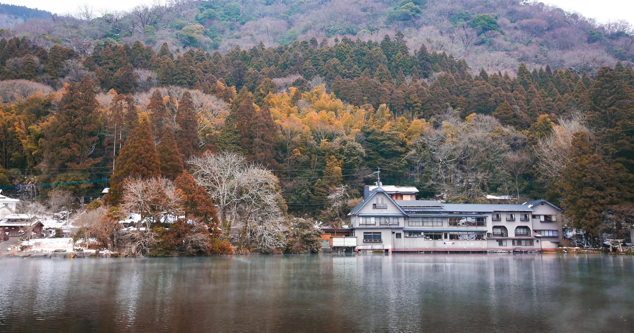 المظهر الخارجي