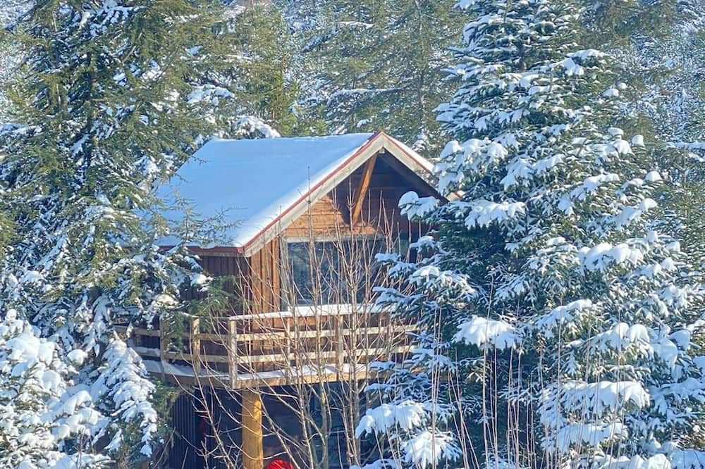 المظهر الخارجي