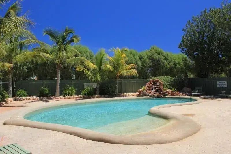 حوض السباحة صورة