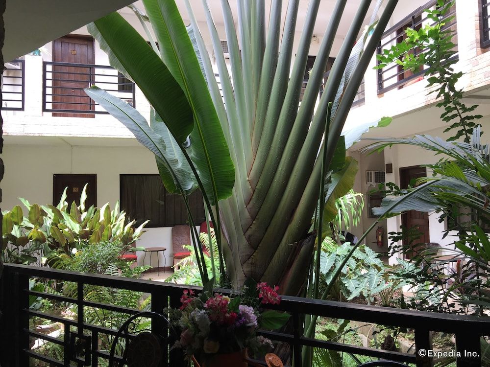 المظهر الخارجي