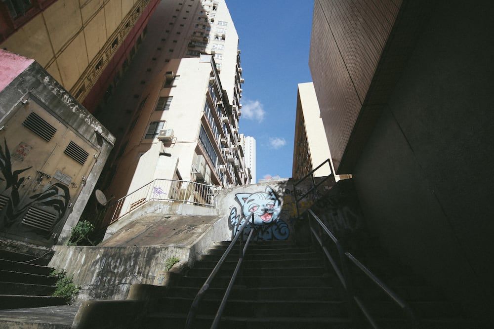 المظهر الخارجي