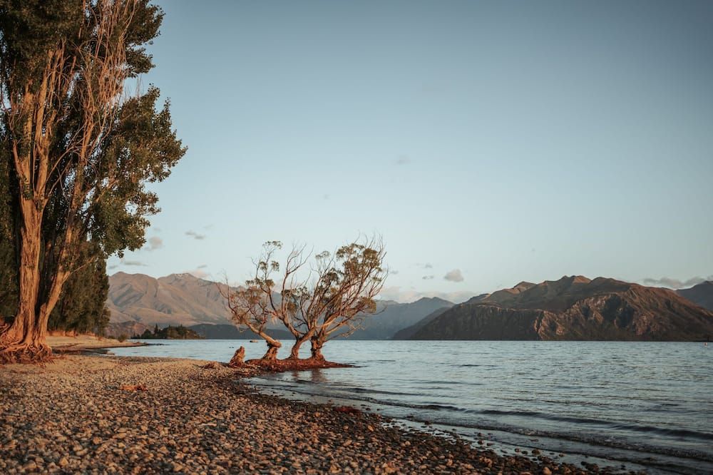 المظهر الخارجي
