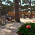 آخر