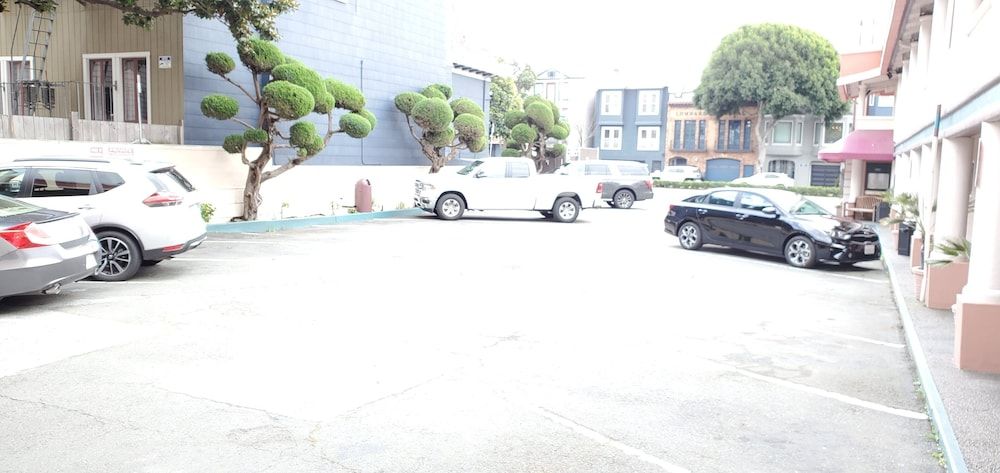 المظهر الخارجي