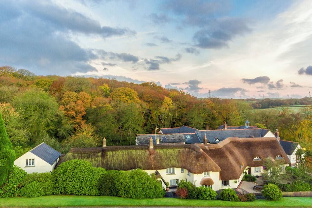 المظهر الخارجي