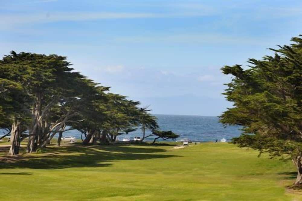 المظهر الخارجي