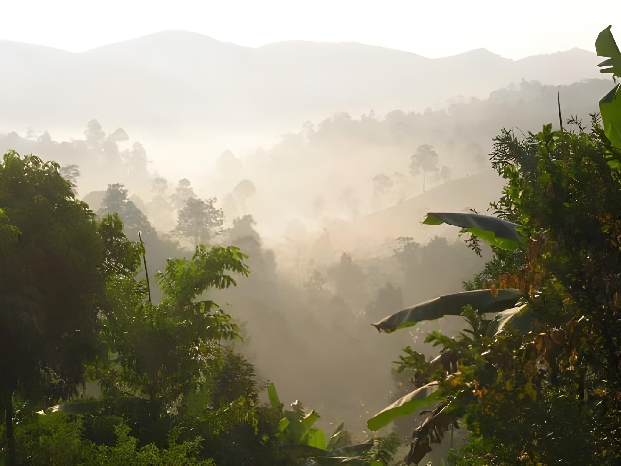 المظهر الخارجي