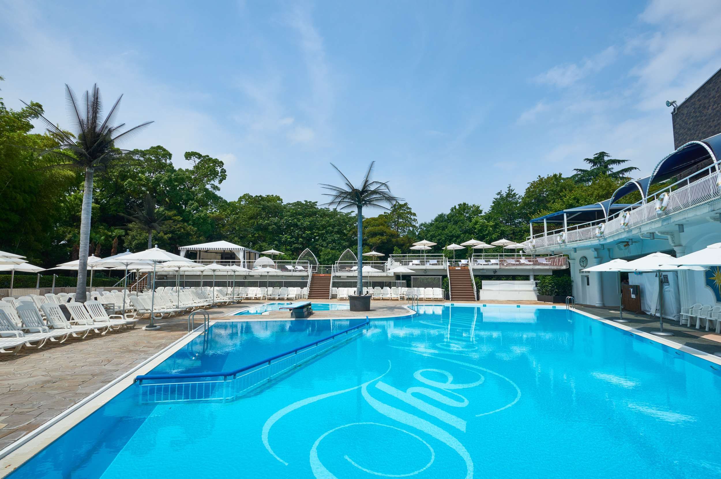 حوض السباحة