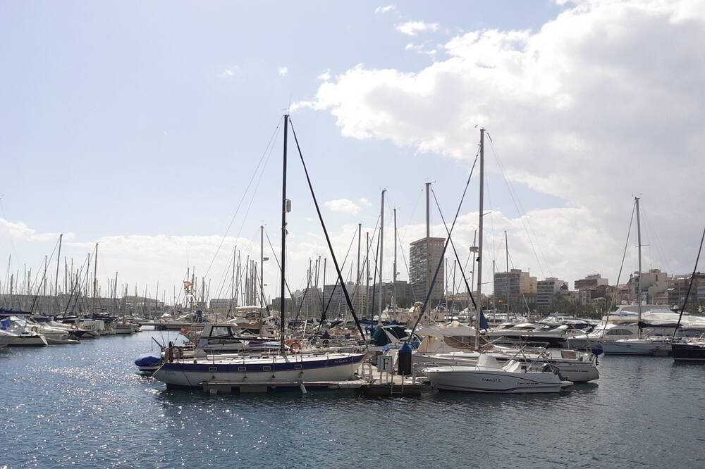 المظهر الخارجي