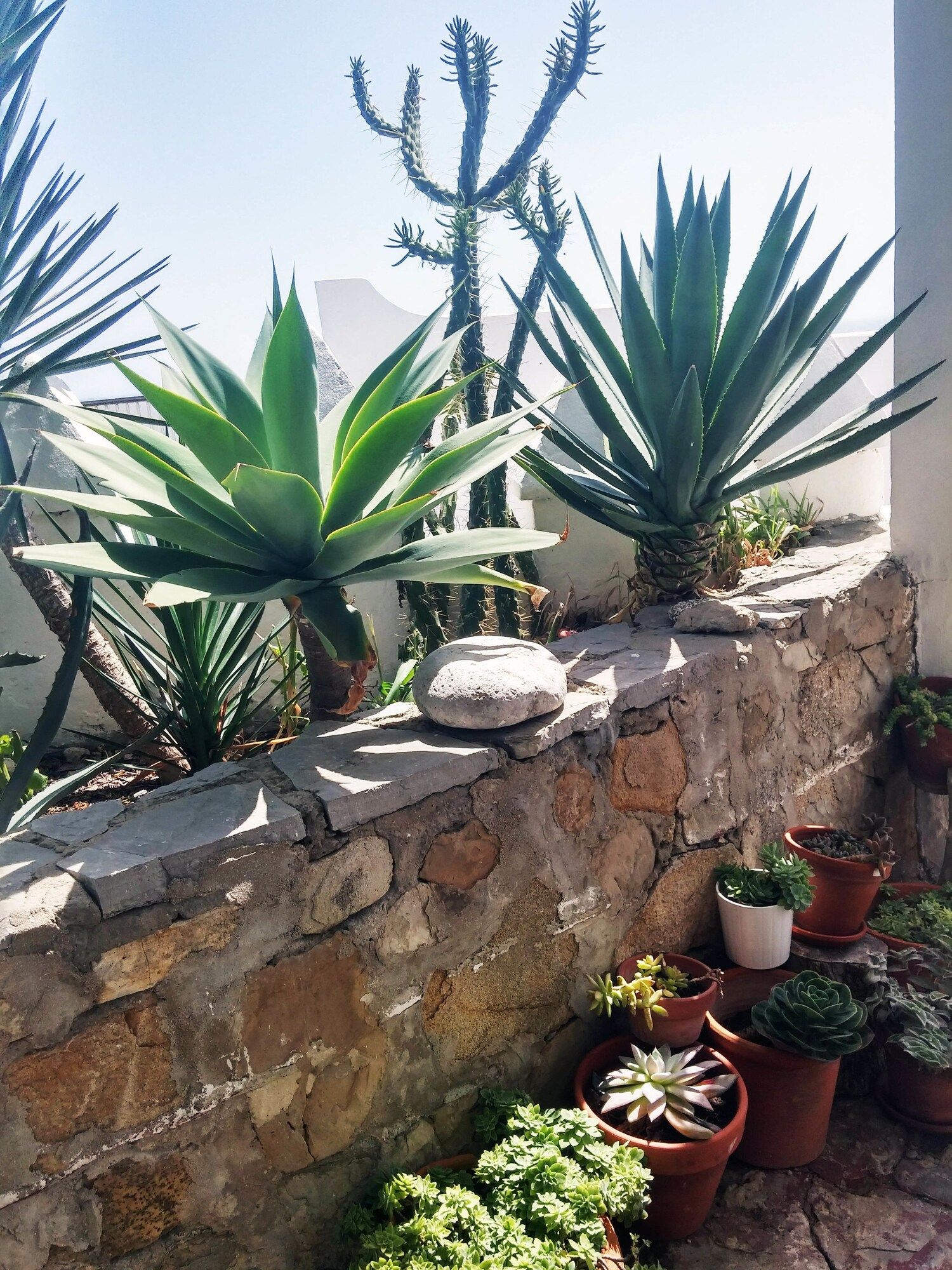 المظهر الخارجي