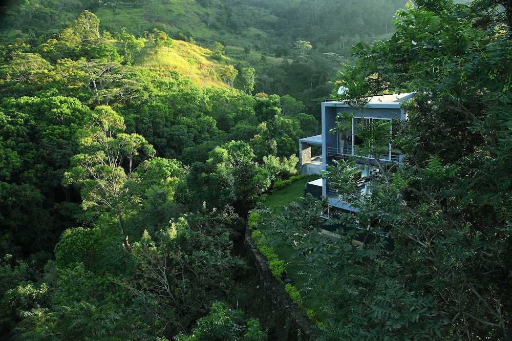 المظهر الخارجي