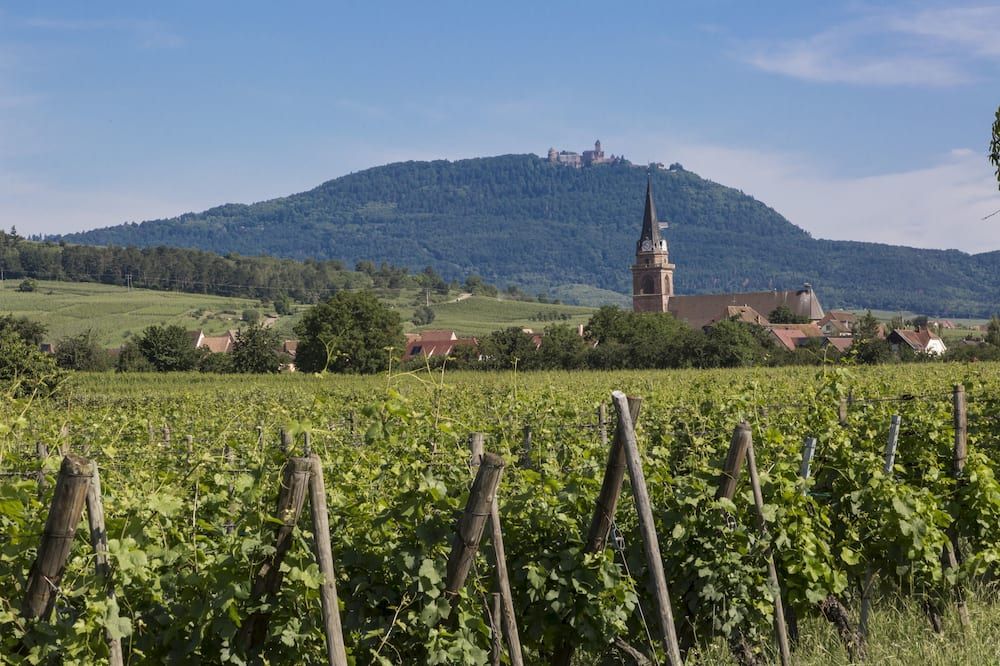 المظهر الخارجي