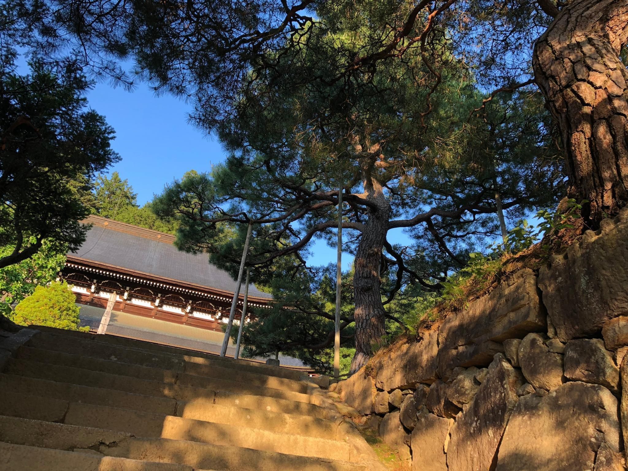 المظهر الخارجي