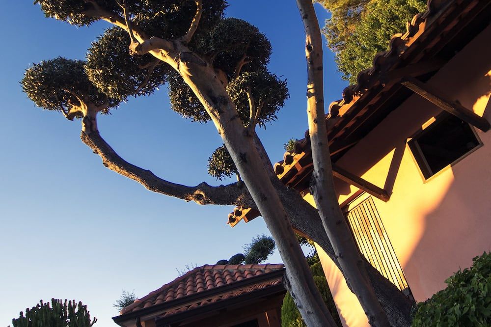 المظهر الخارجي