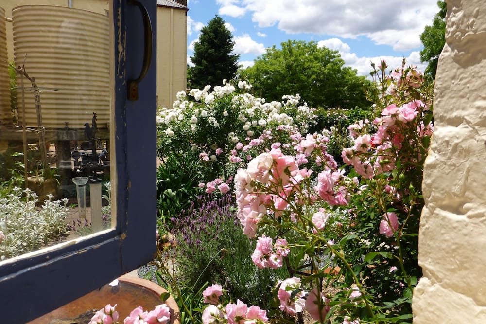 المظهر الخارجي