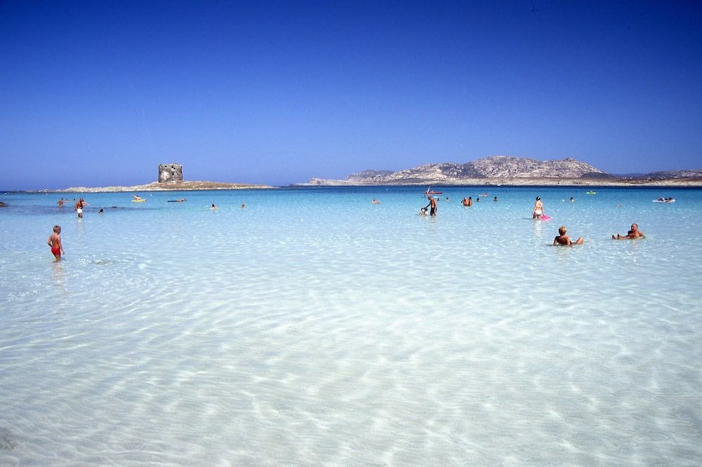 شاطئ صورة