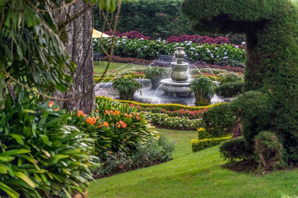 المظهر الخارجي