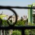 المظهر الخارجي