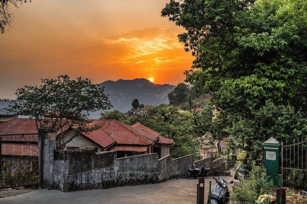 المظهر الخارجي