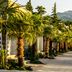 المظهر الخارجي