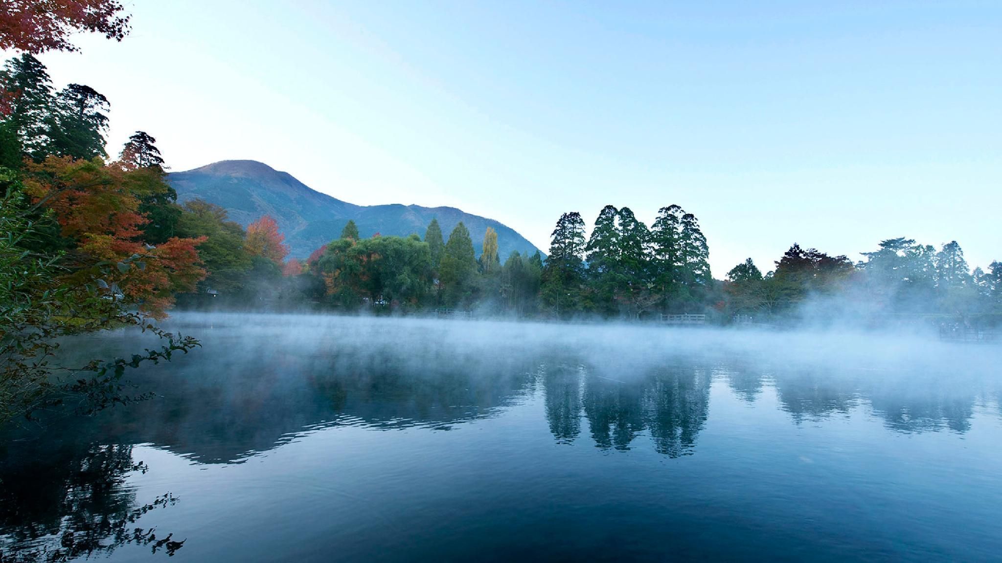 المظهر الخارجي