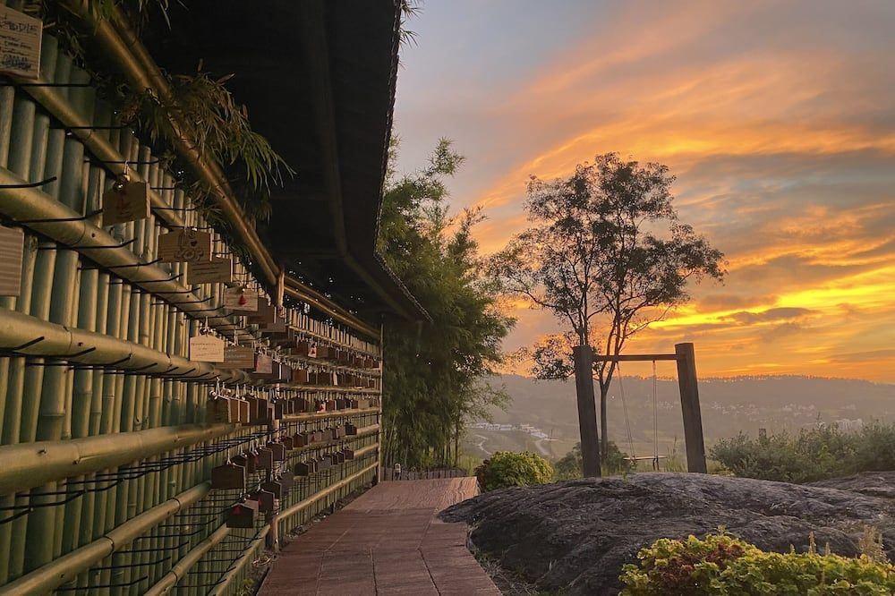 المظهر الخارجي