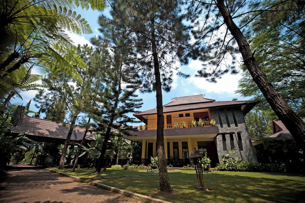 المظهر الخارجي