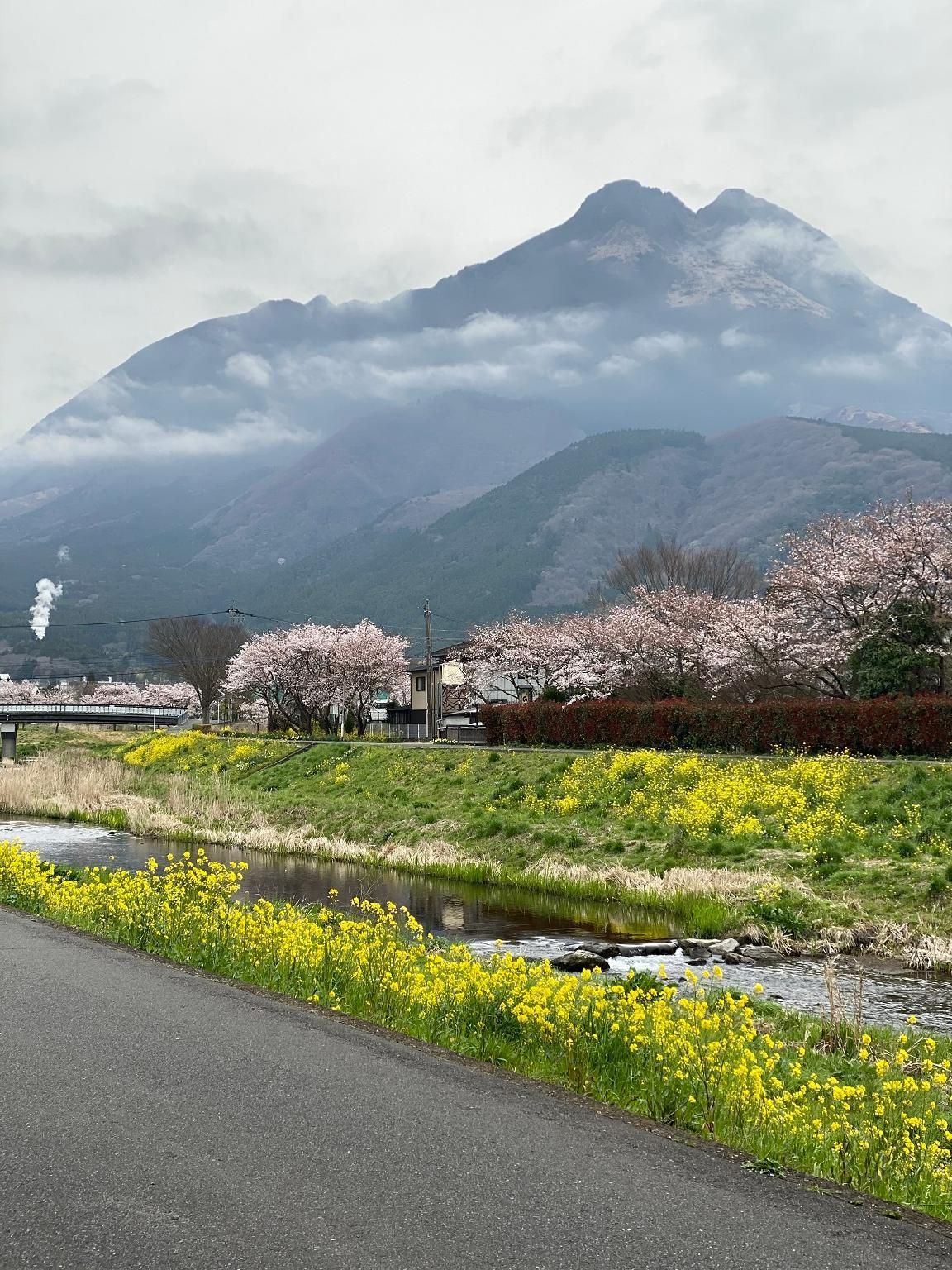 المظهر الخارجي
