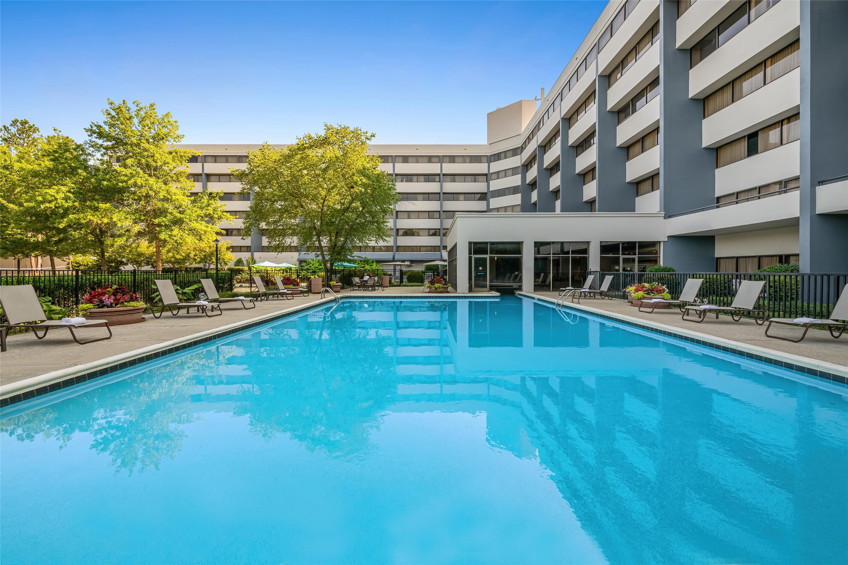 حوض السباحة صورة