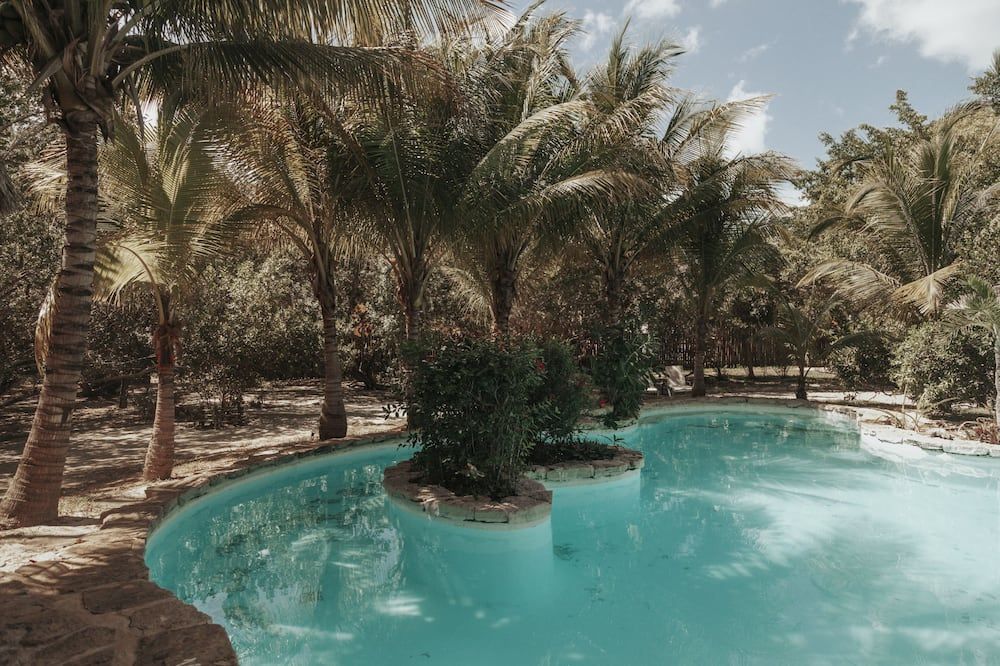 حوض السباحة