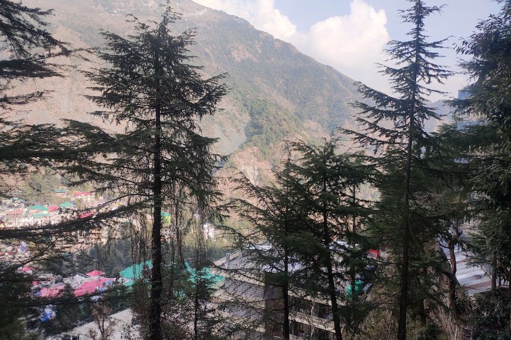 المظهر الخارجي