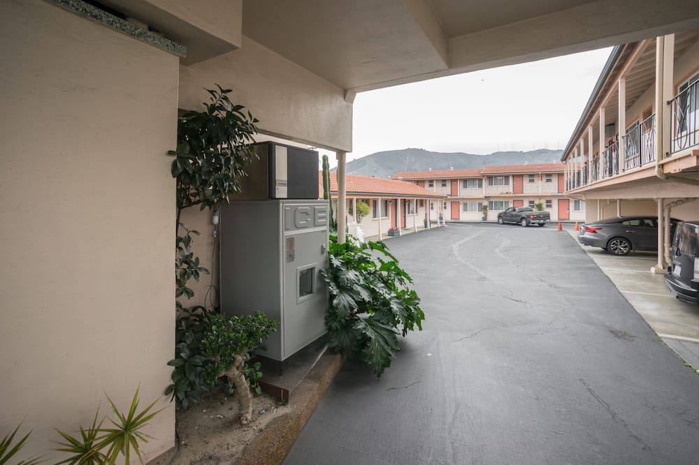 المظهر الخارجي